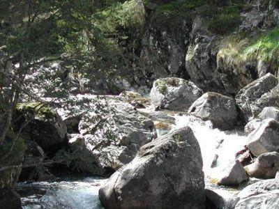 Torrent de montagne