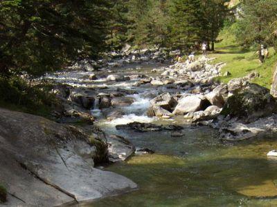 Au bord de la rivière